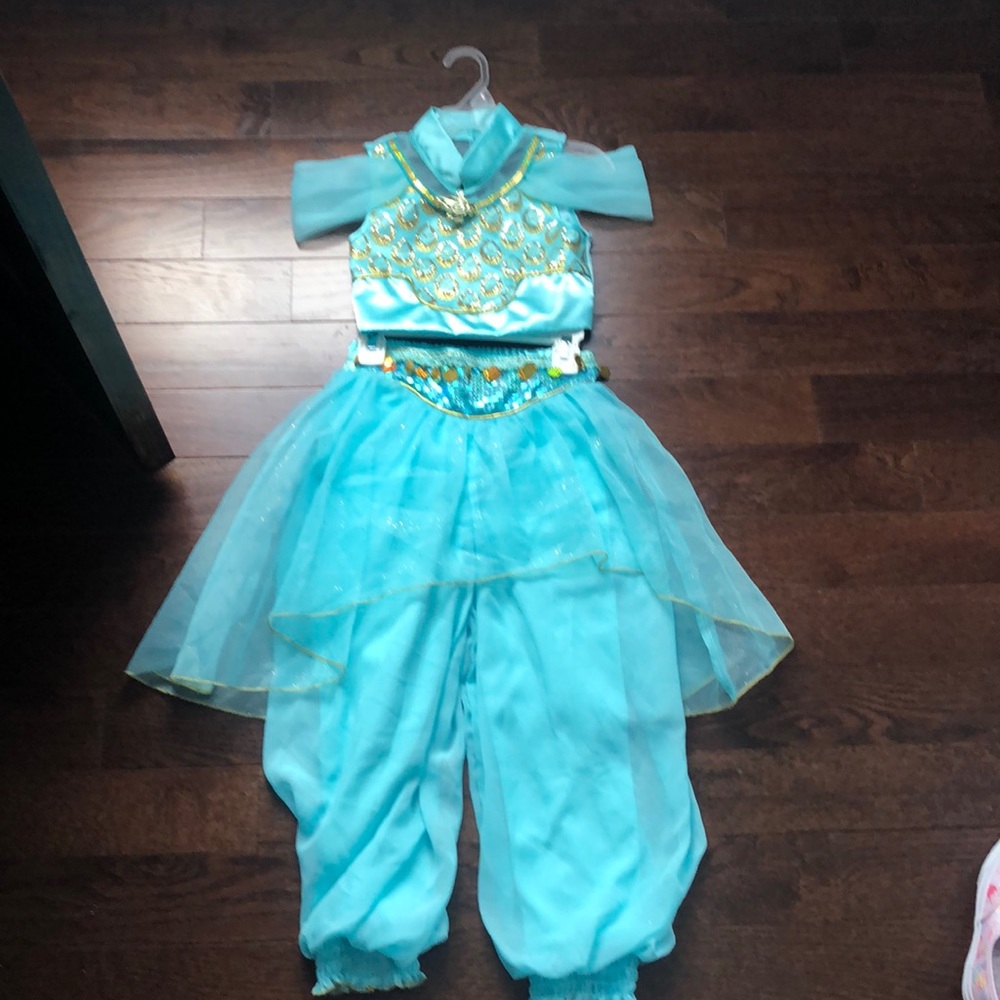 Disney Princess Jasmine costume